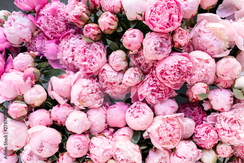 Fototapeta Naklejka Na Ścianę i Meble -  Floral carpet or Wallpaper. Background of pink peonies. Morning light in the room. Beautiful peony flower for catalog or online store. Floral shop and delivery concept .