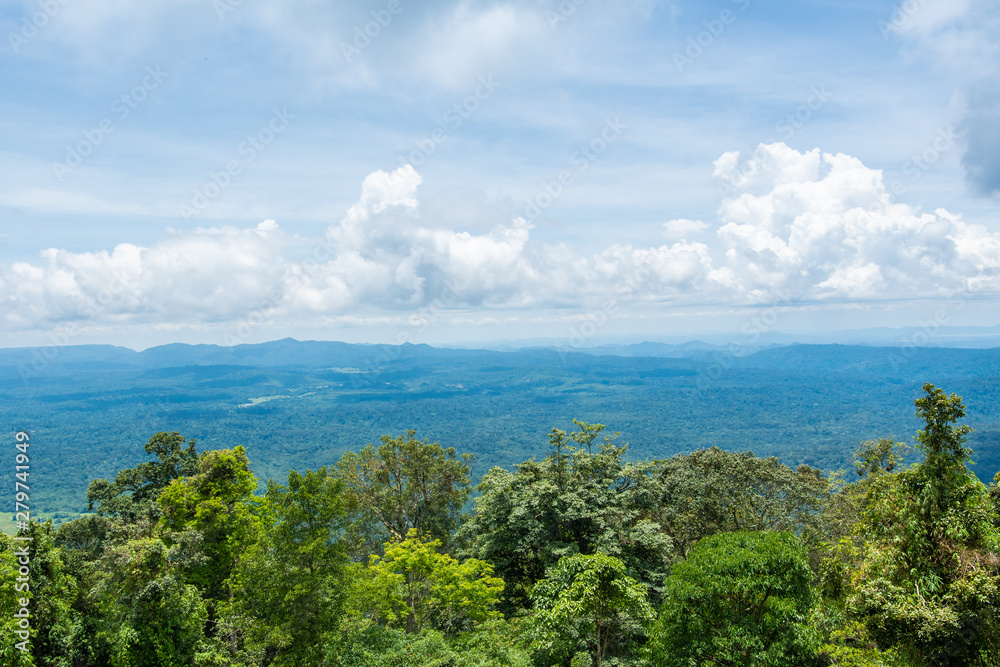 Landscape of green forest with sky. Landscape of green forest with sky.