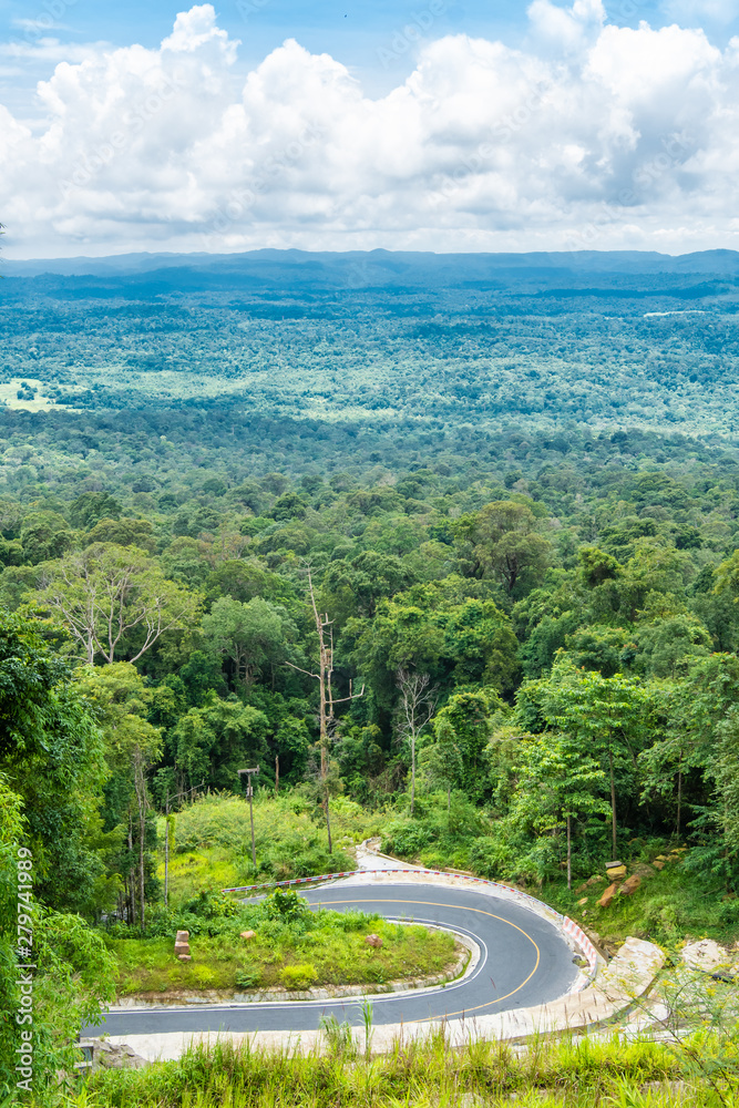 Fototapeta premium Country road in green forest.