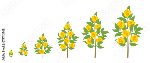 Money tree grows. Grow Investments money. Contribution at interest. Cash grow up animation progression.