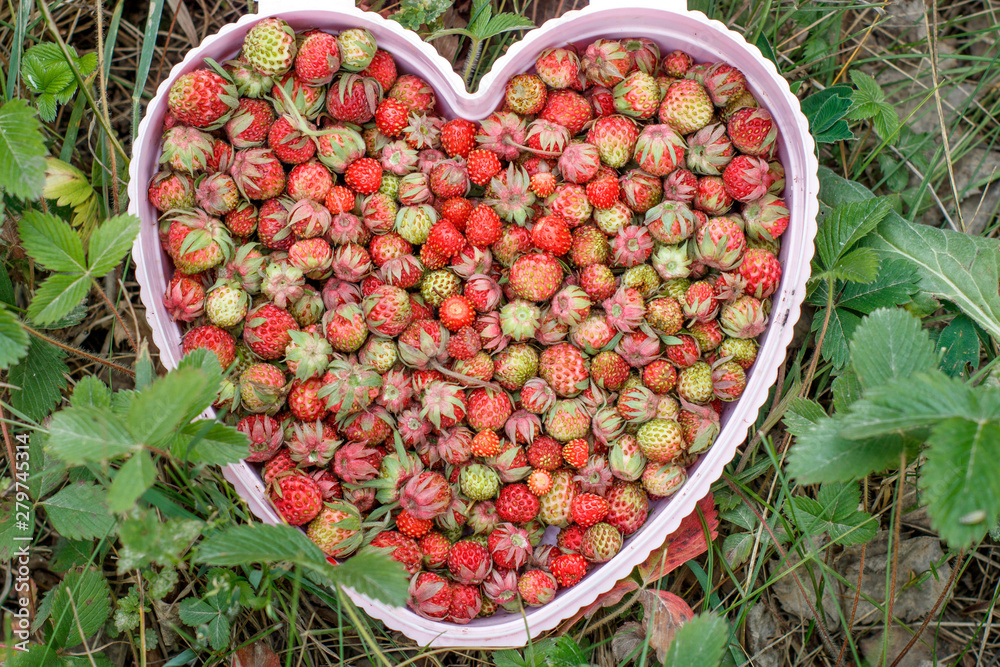 Forest strawberries in a heart shaped bucket Forest strawberries in a heart shaped bucket
