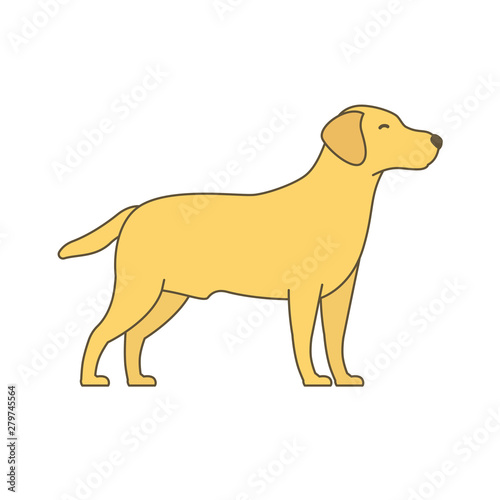 Dog. Animal pets. Labrador retriever. Vector illustration.