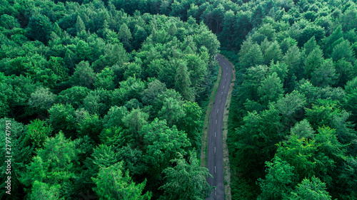 Aerial View of Green Forest with Black Road