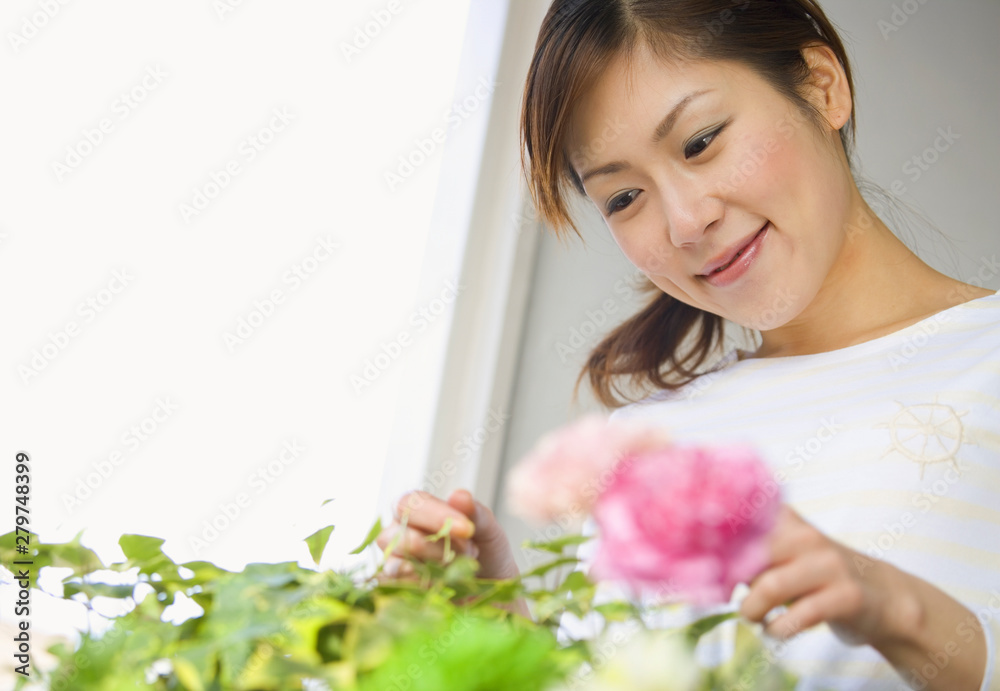 植物の手入れをする女性 植物の手入れをする女性