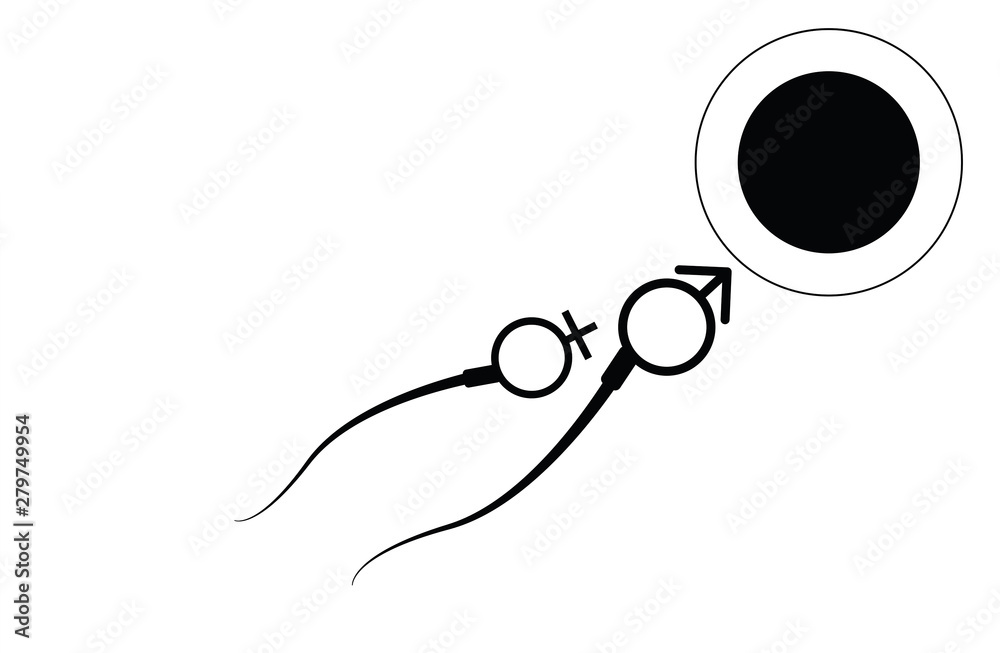 Abstract sperm icon, sperm icon and sperm vector that runs towards the egg. On a white background, competition concept Abstract sperm icon, sperm icon and sperm vector that runs towards the egg. On a white background, competition concept