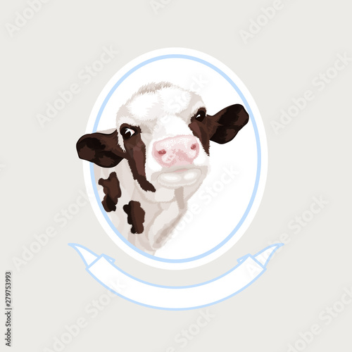 Hand drawn colorful cow head. Calf, bull, cattle vector illustration. Farm animal collection. Design for dairy.