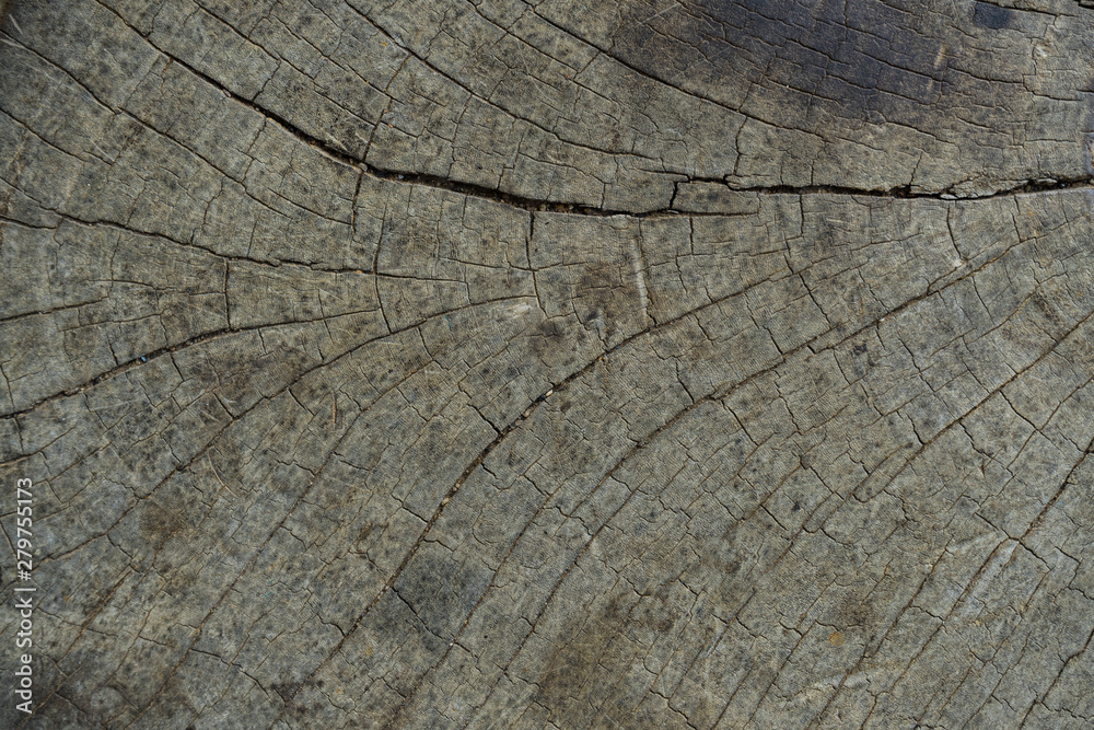 Fototapeta premium Wood surface