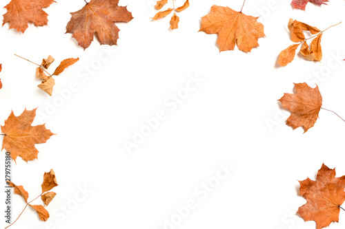 Border frame made from dry leaves on white background