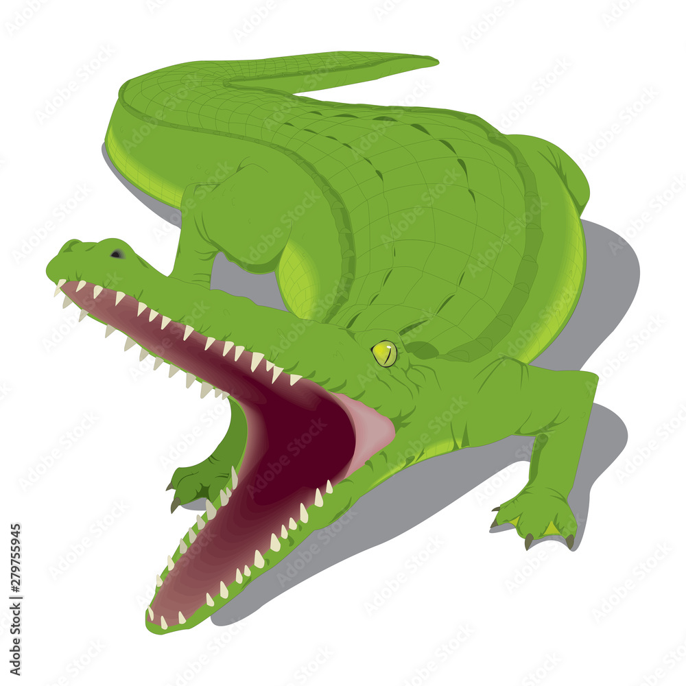 Obraz premium Cartoon crocodile isolated on white background