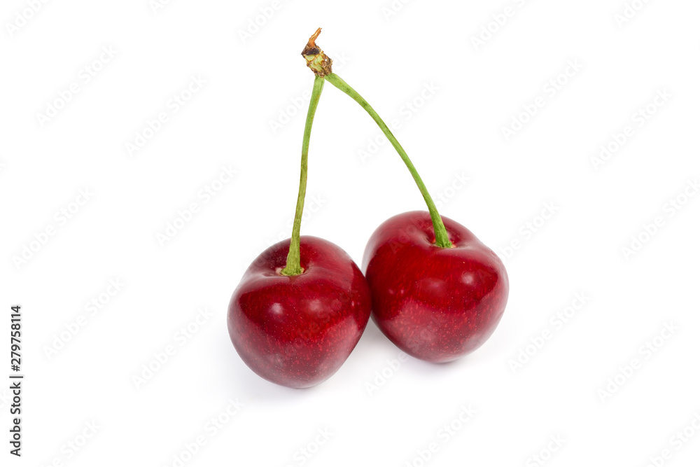 Two red sweet cherries on stalks on white background Two red sweet cherries on stalks on white background