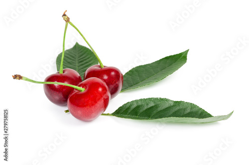Three sweet cherries with stalks and leaves on white background