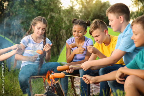 Group of children cooking sausages on campfire © Pixel-Shot