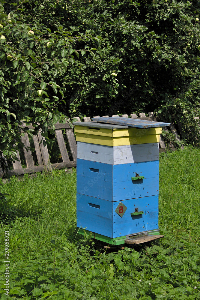 beehive with bees in the apiary beehive with bees in the apiary