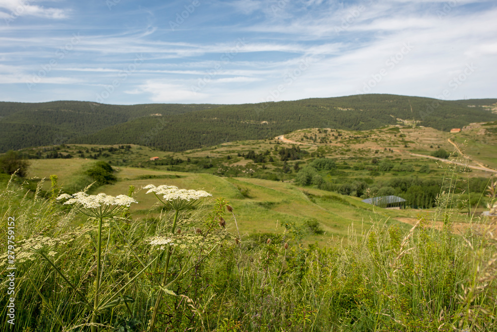 Mountains of Valdelinares a day of Summer