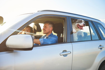 Young couple and their dog traveling by car