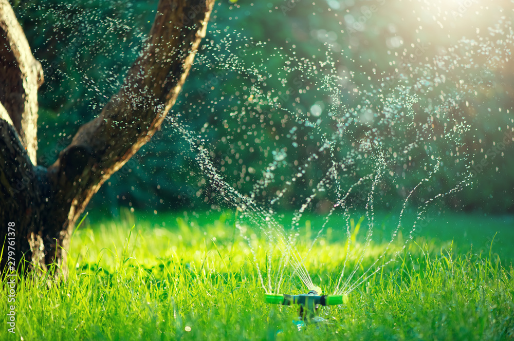 Garden, Grass Watering. Smart garden activated with full automatic sprinkler irrigation system working in a green park, watering lawn, flowers and trees. sprinkler head watering. Gardening concept - obrazy, fototapety, plakaty 