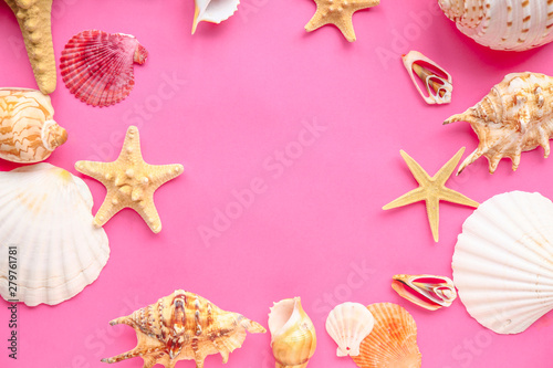 Beautiful sea shells and starfishes on color background