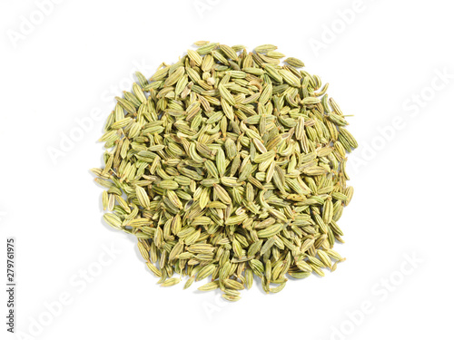 Spice Fennel (Foeniculum vulgare) on a white background