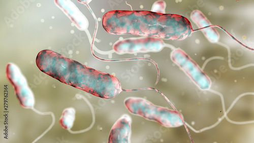 Legionella pneumophila bacterium, the causative agent of Legionnaire's disease, 3D illustration photo