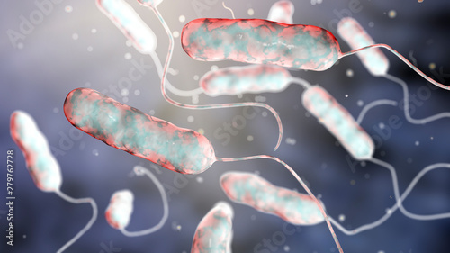 Legionella pneumophila bacterium, the causative agent of Legionnaire's disease, 3D illustration photo