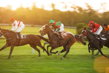 Race horses with jockeys on the home straight. Shaving effect.