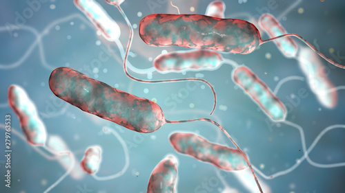 Legionella pneumophila bacterium, the causative agent of Legionnaire's disease, 3D illustration photo