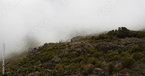 landscape of the Ethiopian Bale Mountains National Park. Ethiopia wilderness pure nature. Sunny day with blue sky most and clouds. photo