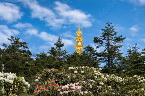 Ten-way Puxian gold statue at the top of Emei Mountain in Sichuan Province, China photo