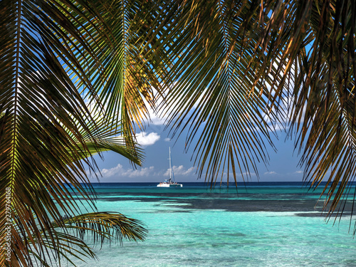 Relaxation in the Caribbean with the azure sea and palms a catamaran framed by palm leaves in the far distance sailing in the Caribbean waters  © Garry Basnett