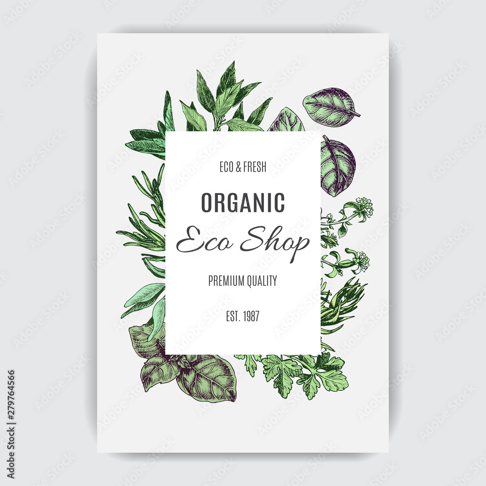 Banner for Eco shop. Colorful herbs card.