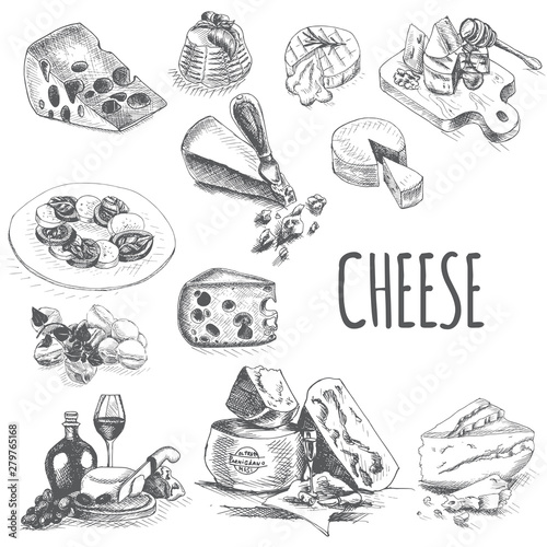 Vector illustration sketch - cheese. provolone, cheddar, edam, Parmigiano, cheddar, parmesan, camembert, brie, mozzarella