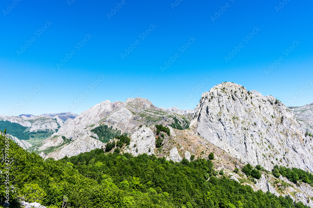 mountain with limestone rock and forest