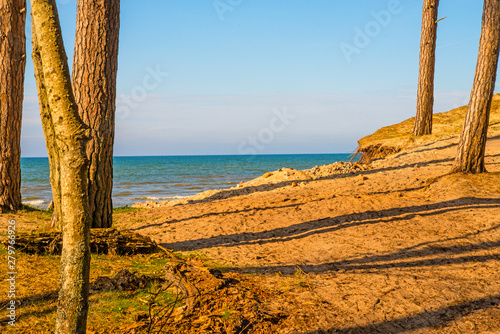 beach of the Baltic sea with dunes and trees © hjschneider