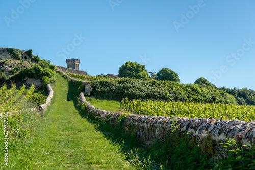Photos SAINT-EMILION (Gironde, France), vignes autour du village
