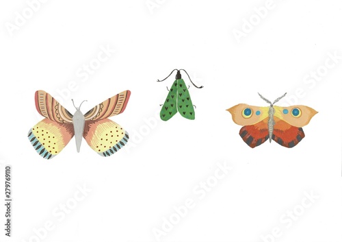 A set of butterflies on a white background watercolor illustration