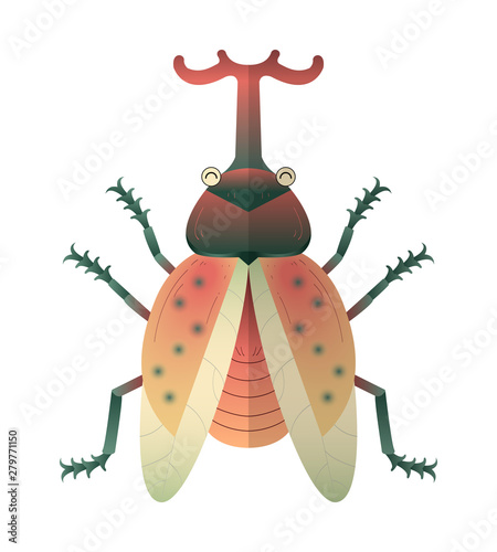 vector of colorful beetle with symmetry form.