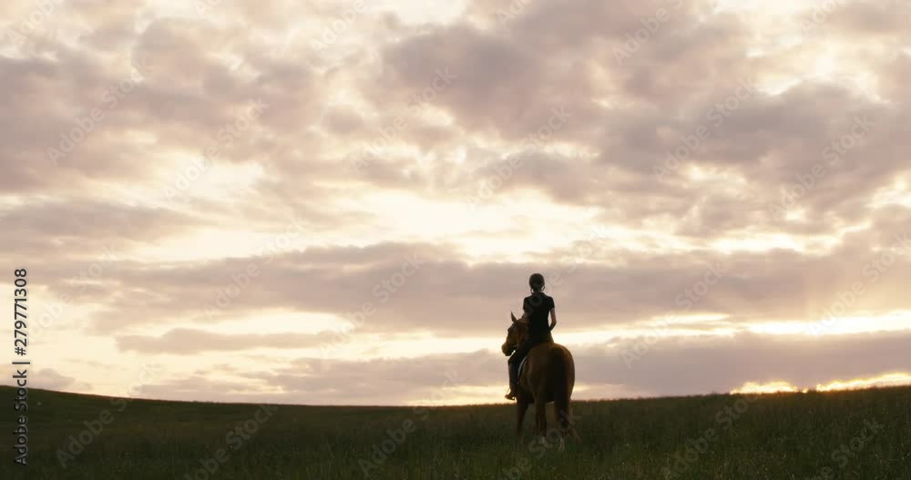 TRACKING Attractive female riding horseback on a field in the evening, sunset. Shot on RED Helium. 4K UHD RAW graded footage TRACKING Attractive female riding horseback on a field in the evening, sunset. Shot on RED Helium. 4K UHD RAW graded footage