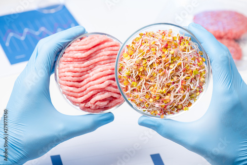 Scientist showing plant material in Petri dish for preparing lab cruelty free meat substitute