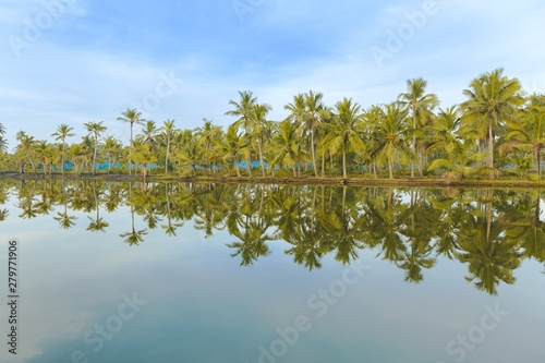 Munroe islands, Kollam, Kerala, India. Serenely tropical island with coconut trees and rivers. Clear reflections on Ashtamudi lake. Peaceful boating at sun rise. Kollam district. Blue skies photo