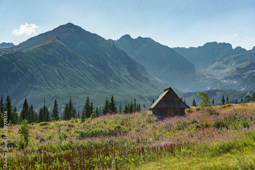 Cottage in a mountain landscape in Tatra mountains