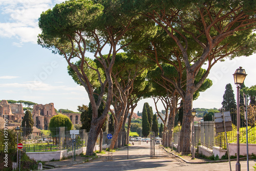 Rom - Bei einem Spaziergang über den Testaccio-Hügel kann man die Stadt aus einer höheren Position betrachten.