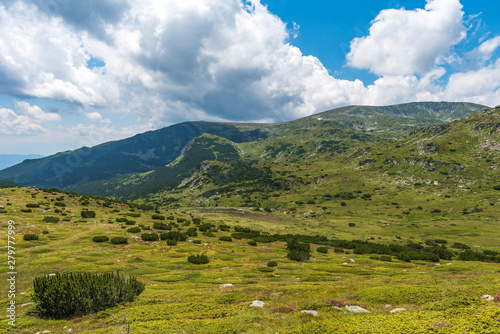 Beautiful summer mountain panorama view from Rila Mountain  Bulgaria