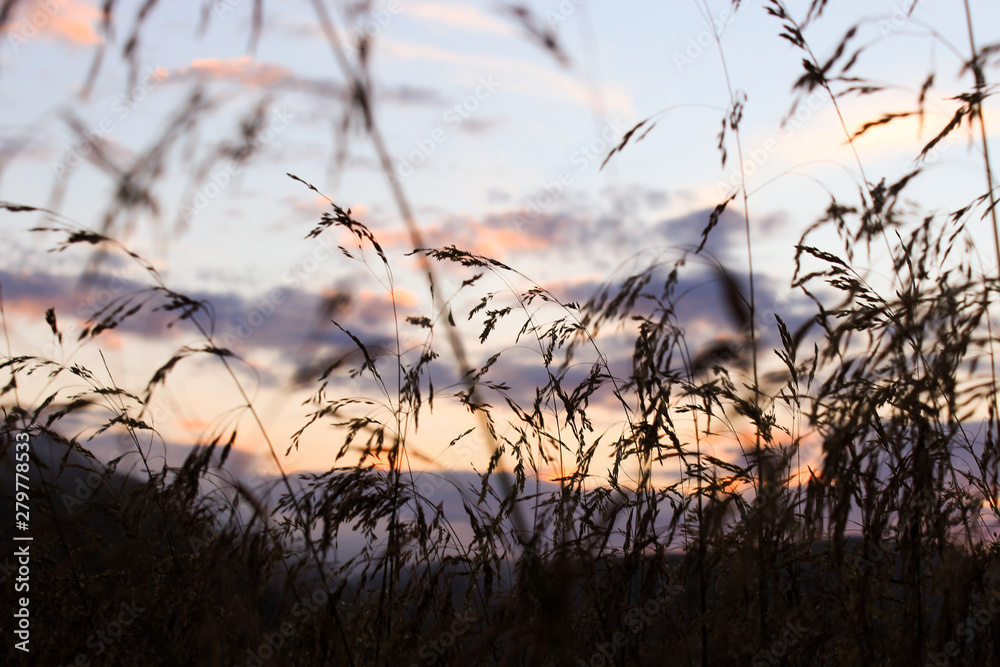 Obraz premium Карпаты, Украина, гори, путешествие