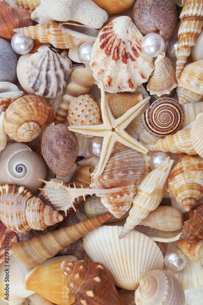 Pearls, starfish and seashells as background