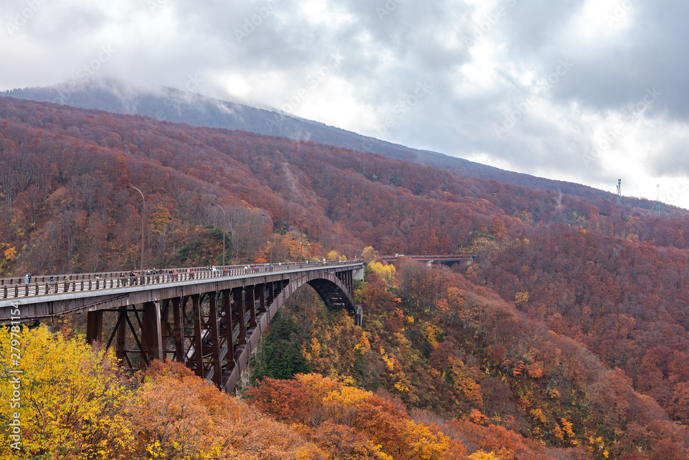 Jogakura Ohashi Bridge view during autumn foliage season. Colorful trees on mountains and valley with red, orange, and golden colors foliage. Towada hachimantai National Park, Aomori Prefecture, Japan Jogakura Ohashi Bridge view during autumn foliage season. Colorful trees on mountains and valley with red, orange, and golden colors foliage. Towada hachimantai National Park, Aomori Prefecture, Japan