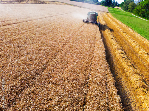 Harvesting photo