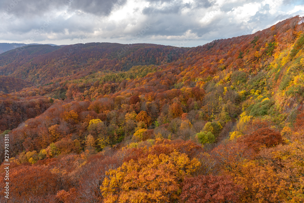 Autumn foliage scenery view, beautiful landscapes. Fall is full of magnificent colours. Entire mountain and valley is bathed in different hues of red, orange and golden colors background Autumn foliage scenery view, beautiful landscapes. Fall is full of magnificent colours. Entire mountain and valley is bathed in different hues of red, orange and golden colors background