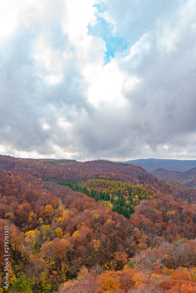 Autumn foliage scenery view, beautiful landscapes. Fall is full of magnificent colours. Entire mountain and valley is bathed in different hues of red, orange and golden colors background Autumn foliage scenery view, beautiful landscapes. Fall is full of magnificent colours. Entire mountain and valley is bathed in different hues of red, orange and golden colors background