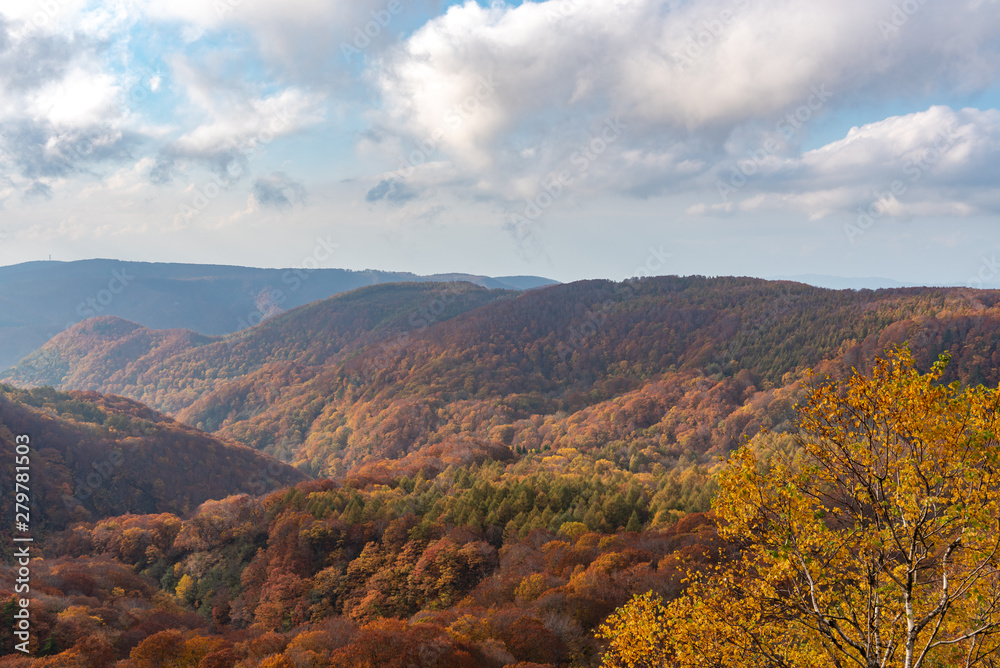 Autumn foliage scenery view, beautiful landscapes. Fall is full of magnificent colours. Entire mountain and valley is bathed in different hues of red, orange and golden colors background