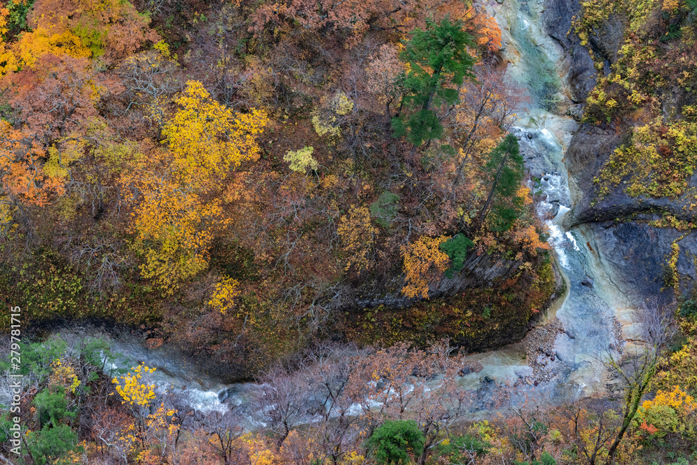 Autumn foliage scenery. Aerial view of valley and stream in fall season. Colorful forest trees background in red, orange, and golden colors Autumn foliage scenery. Aerial view of valley and stream in fall season. Colorful forest trees background in red, orange, and golden colors
